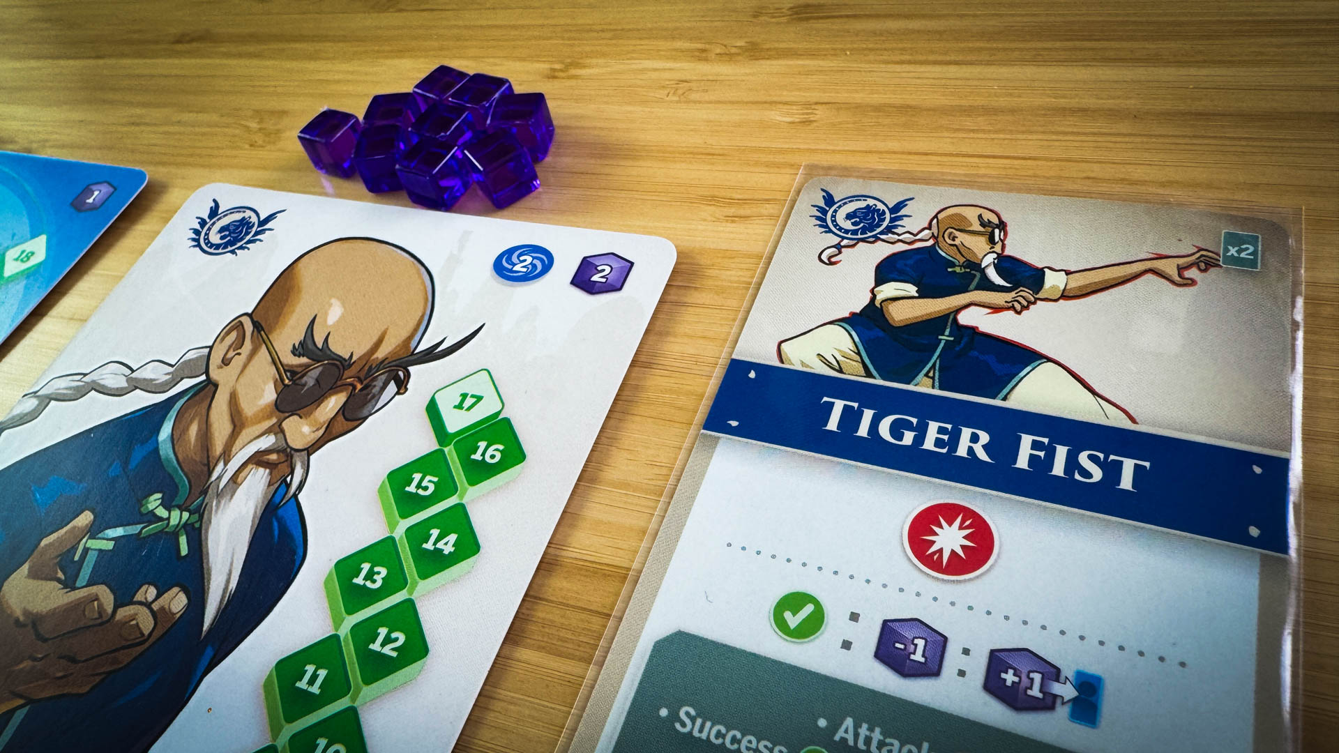 Single Fighter Sheet Tag Team board game review featuring asymmetric fighters and strategic deck building mechanics
