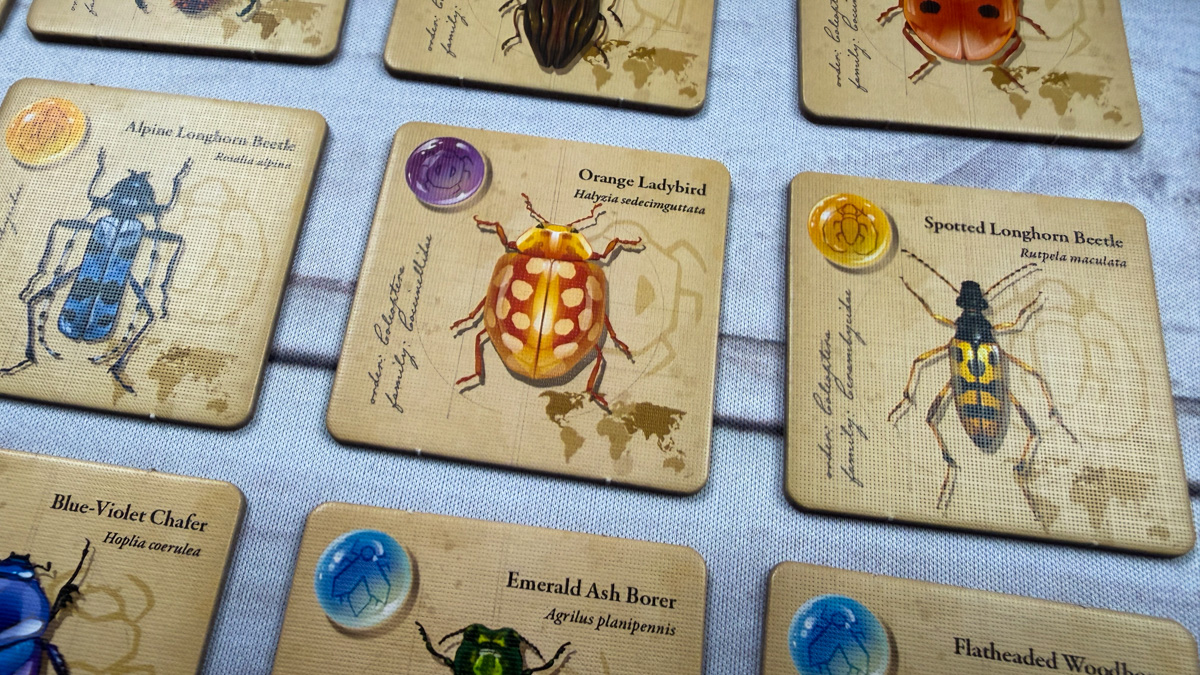 #10 — Jewel Box Jewel Box board game beetle tiles arranged on log centerpiece by Lovemore Games