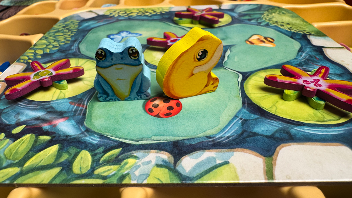 A view of the game insert and organized components for the Pergola board game.
